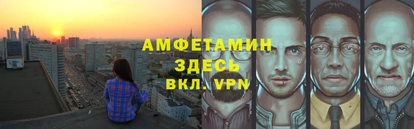 стаф Аркадак