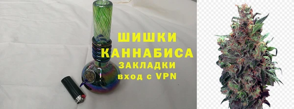 стаф Аркадак