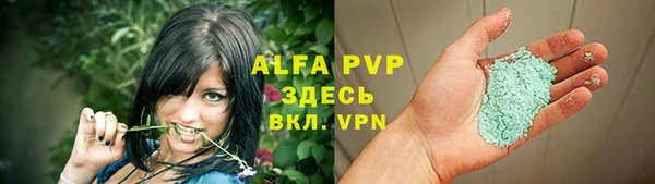 соль ск Алзамай