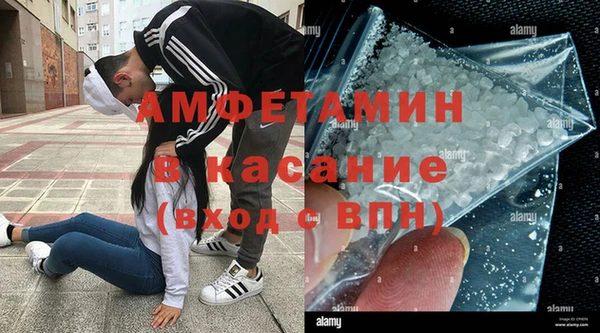 стаф Аркадак