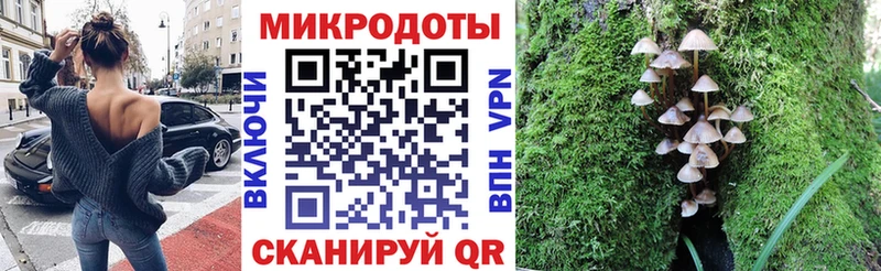 Купить где  Беслан  Псилоцибиновые грибы Cubensis 